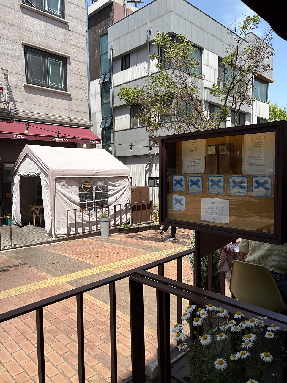파파라구 사진 3