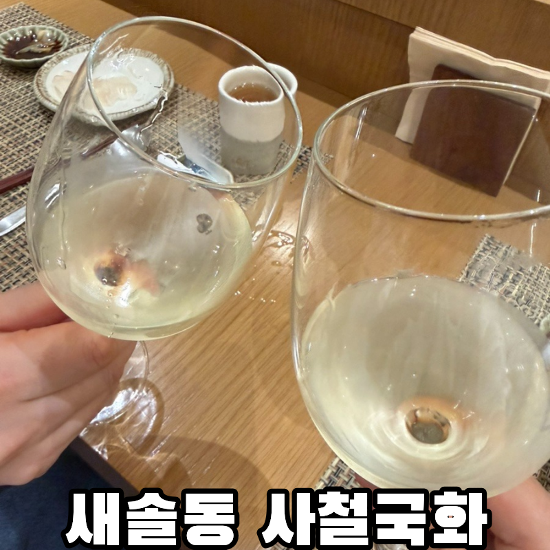 사철국화 사진 1