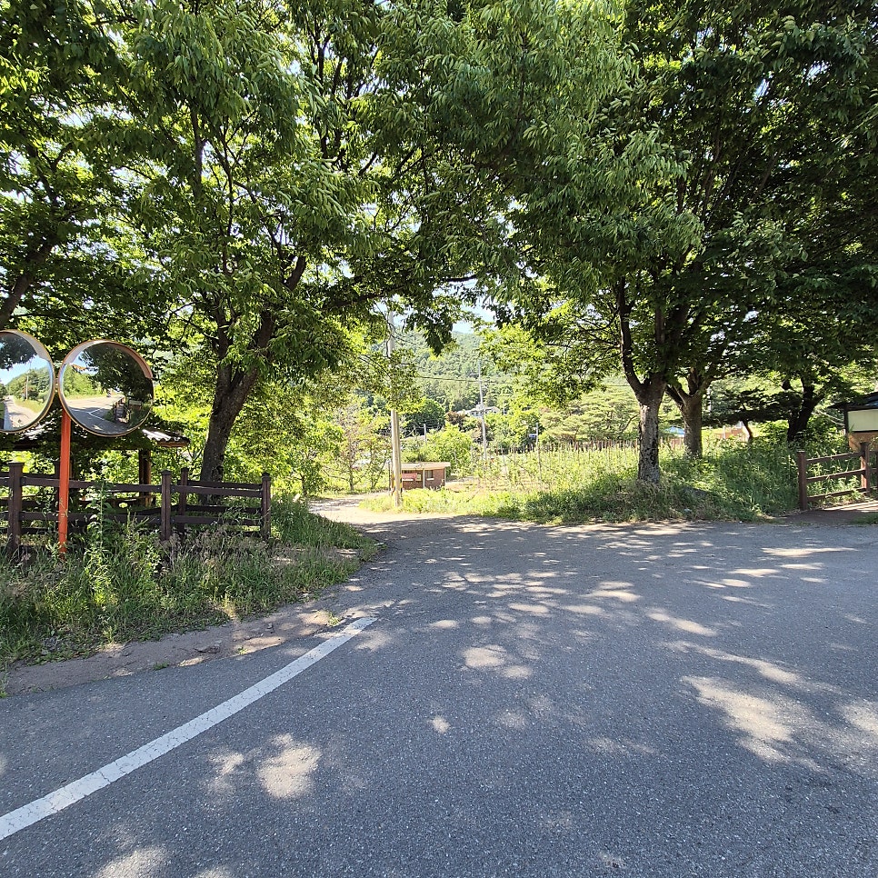 영양펜션 산적 사진 3
