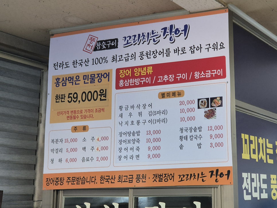 꼬리치는장어 사진 4