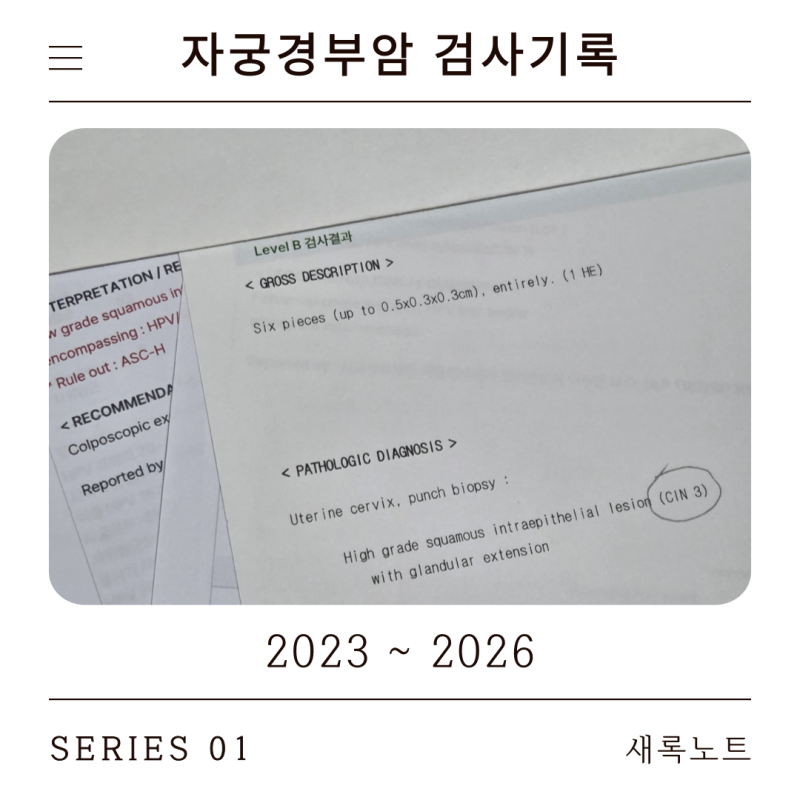 자궁경부암 검사 결과 기록 2023~2026 | HPV 52·58 지속감염부터 CIN3 진단까지
