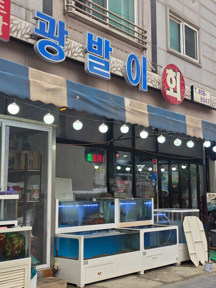 광발이 사진 2