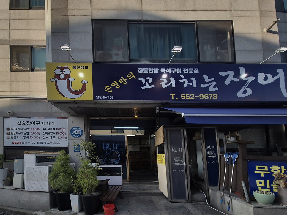 꼬리치는장어 사진 1