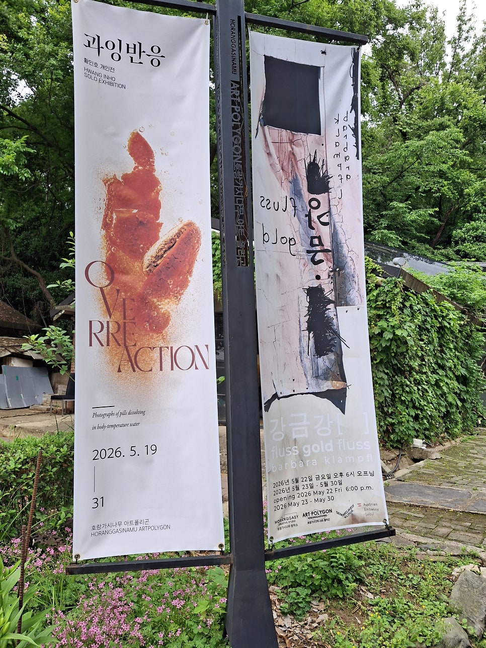 호랑가시나무 아트폴리곤 사진 1
