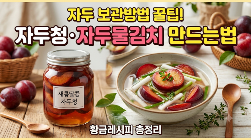 자두 보관방법 꿀팁! 자두청·자두물김치 만드는법까지 총정리(자두김치 등)