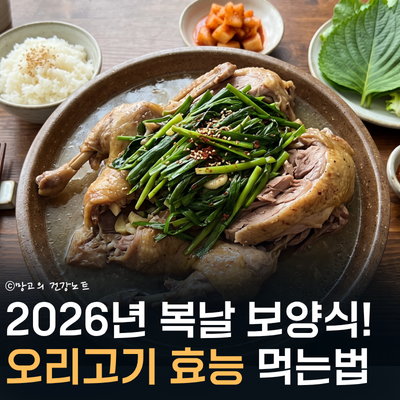 불포화지방산 왕, 오리고기 효능 2026년 복날 보양식으로? | 부작용, 영양성분, 먹는법