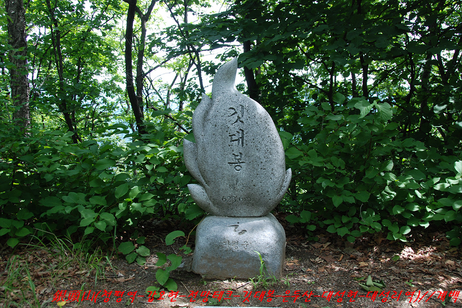 토골 사진 1