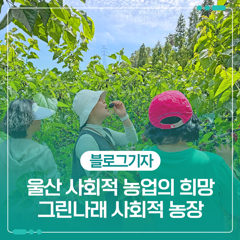 그린나래 사진 1
