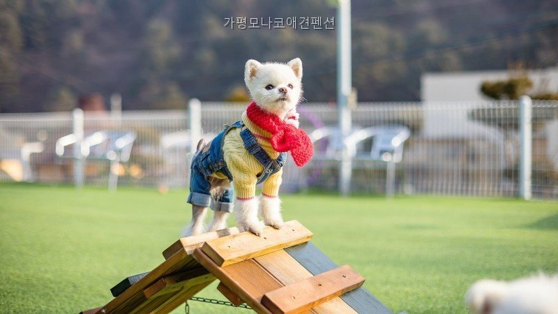 모나코펜션 사진 2