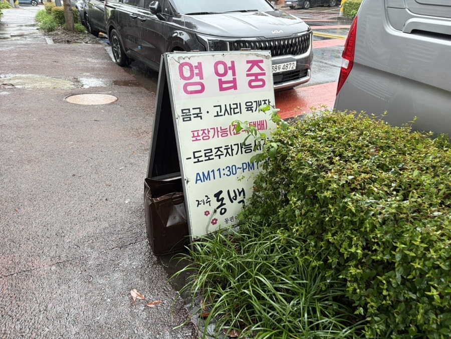 제주동백을담다 사진 1