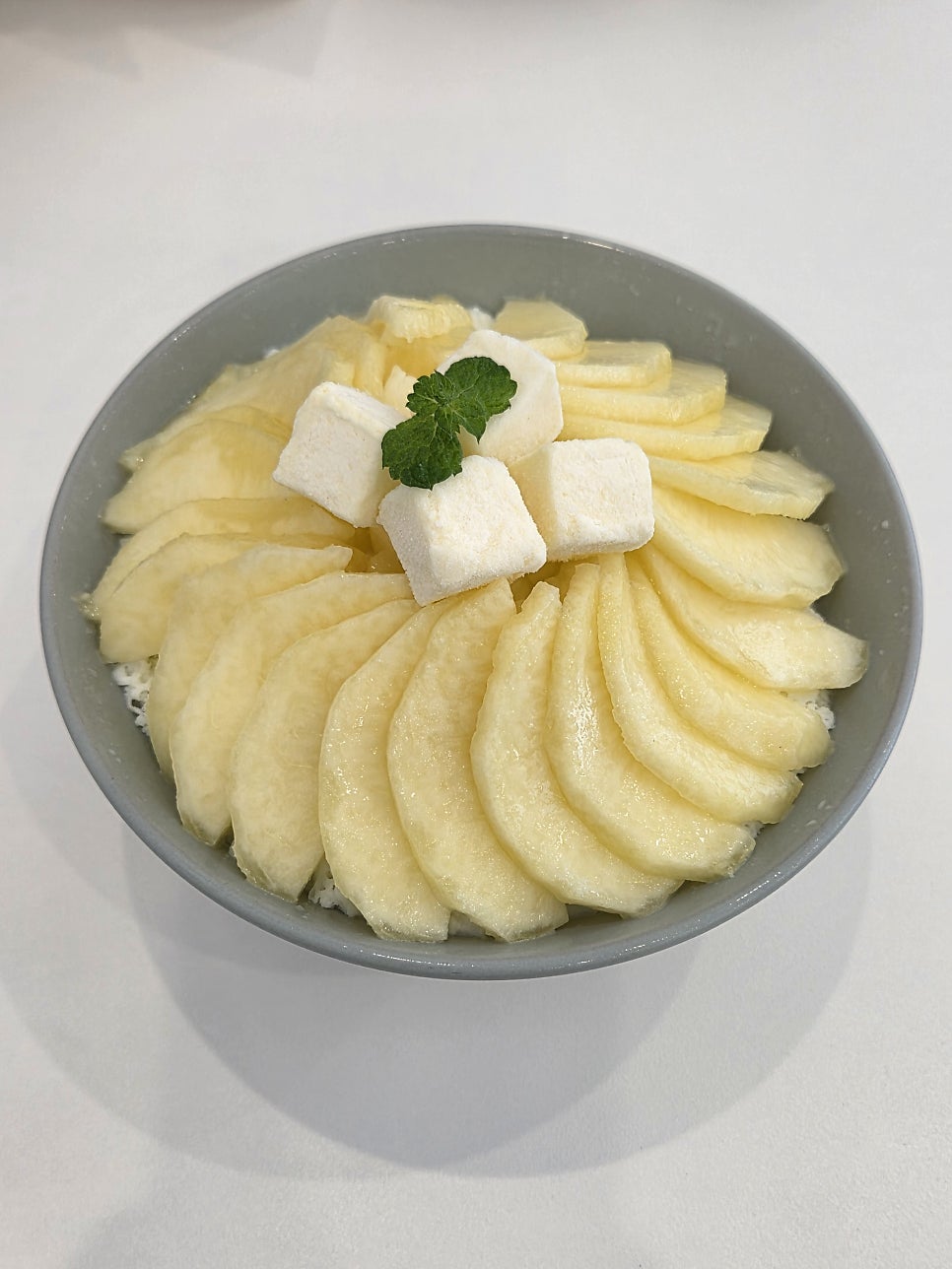 데이바이데이 사진 2