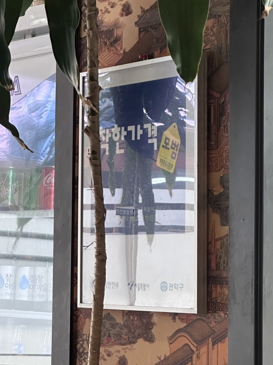 만리향 사진 4