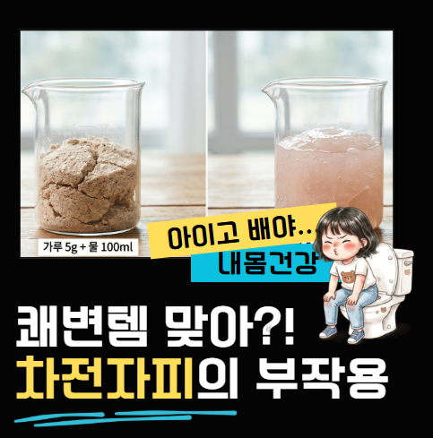 변비 잡으려다 응급실 갈 뻔? 차전자피 식이섬유가 만든 대장수분 고갈의 배신과 부작용 해....