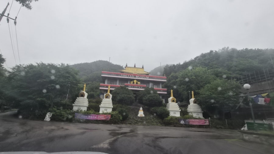 대원사 벚꽃길 사진 4