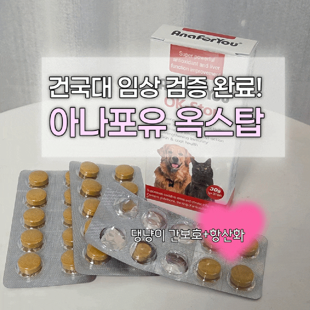 아나포유 옥스탑 수의대 임상으로 검증된 강아지 간 영양제, 7살 강아지 활력 찾기