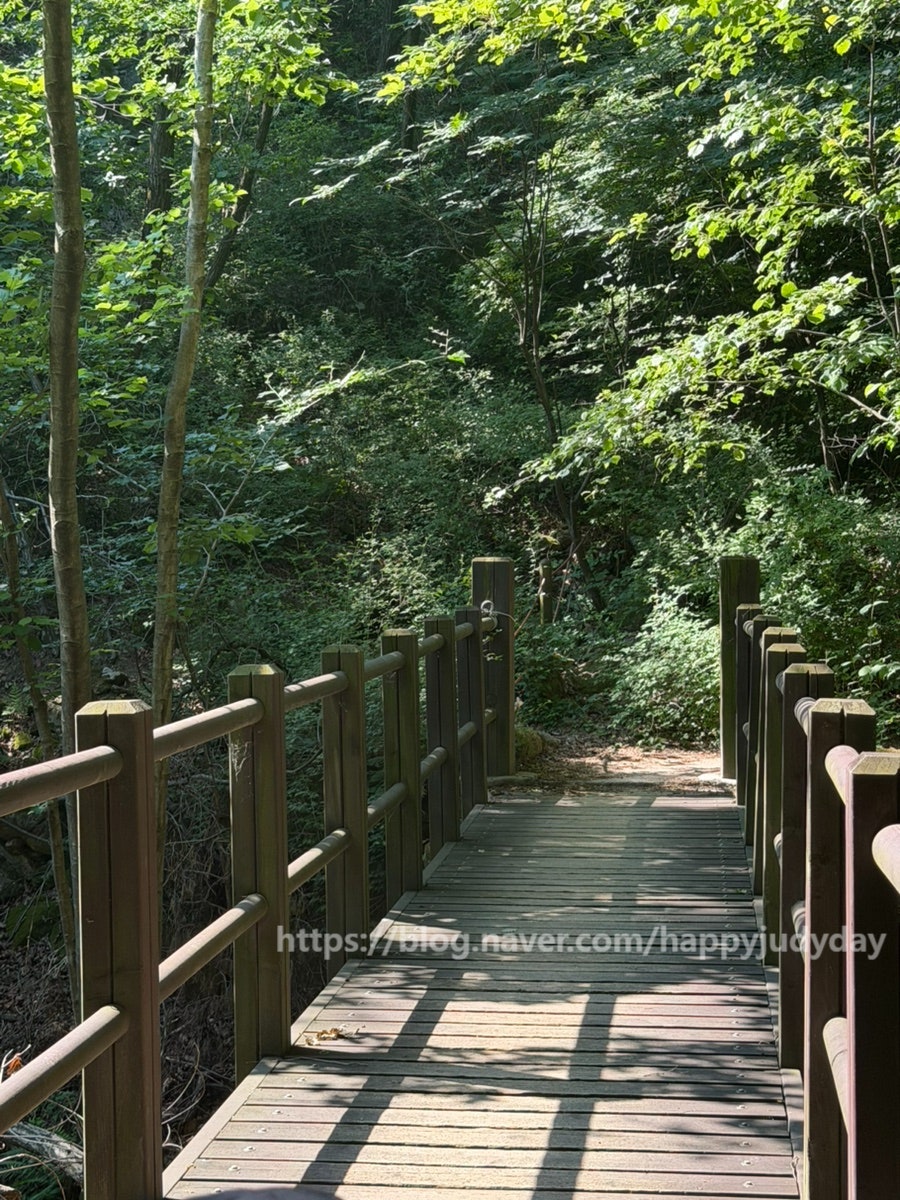 산골보리밥 사진 4