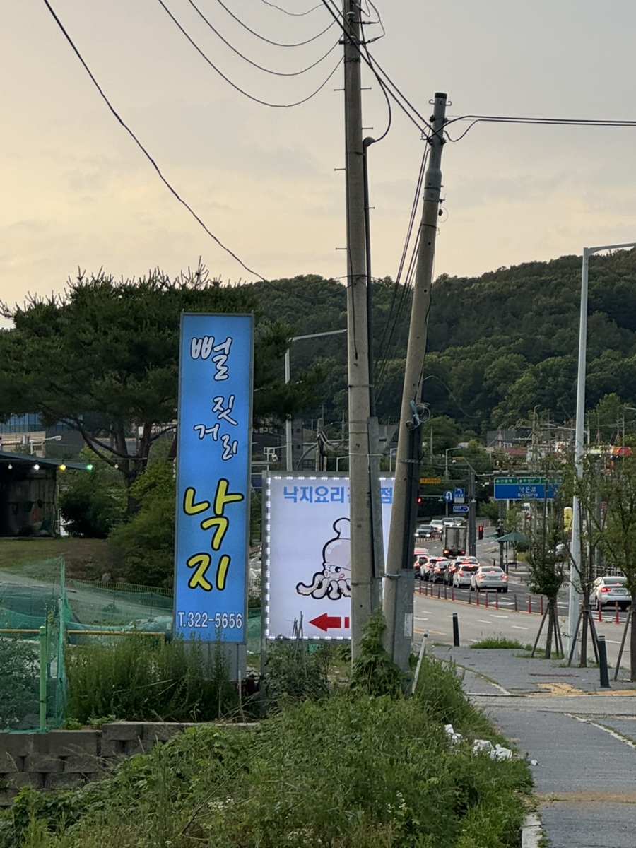 뻘짓거리낙지 사진 1