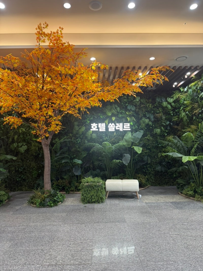 Soller Hotel Daecheon Review: Accommodation with a Kids Cafe for Children