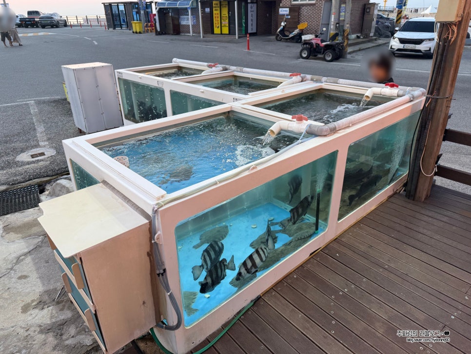 전망대횟집 사진 2