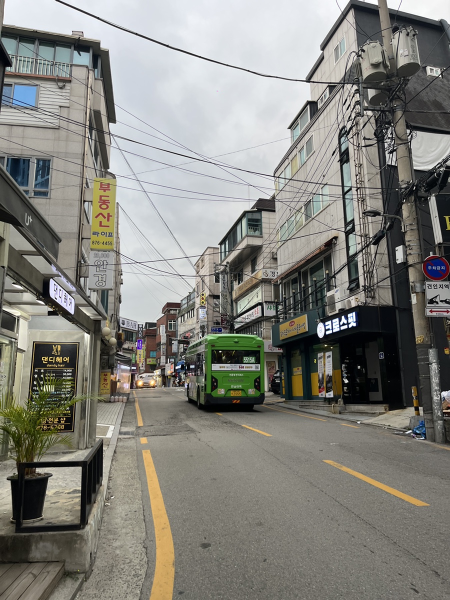갈대포 사진 1