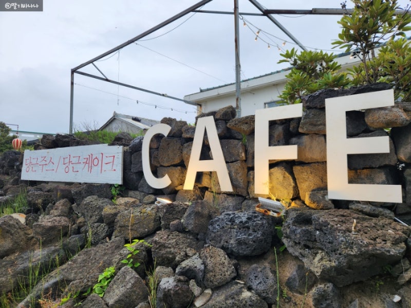 제주도 오션뷰 카페 카페한라산 세화해수욕장 앞 상큼한 한라봉 치즈케이크 맛집 후기