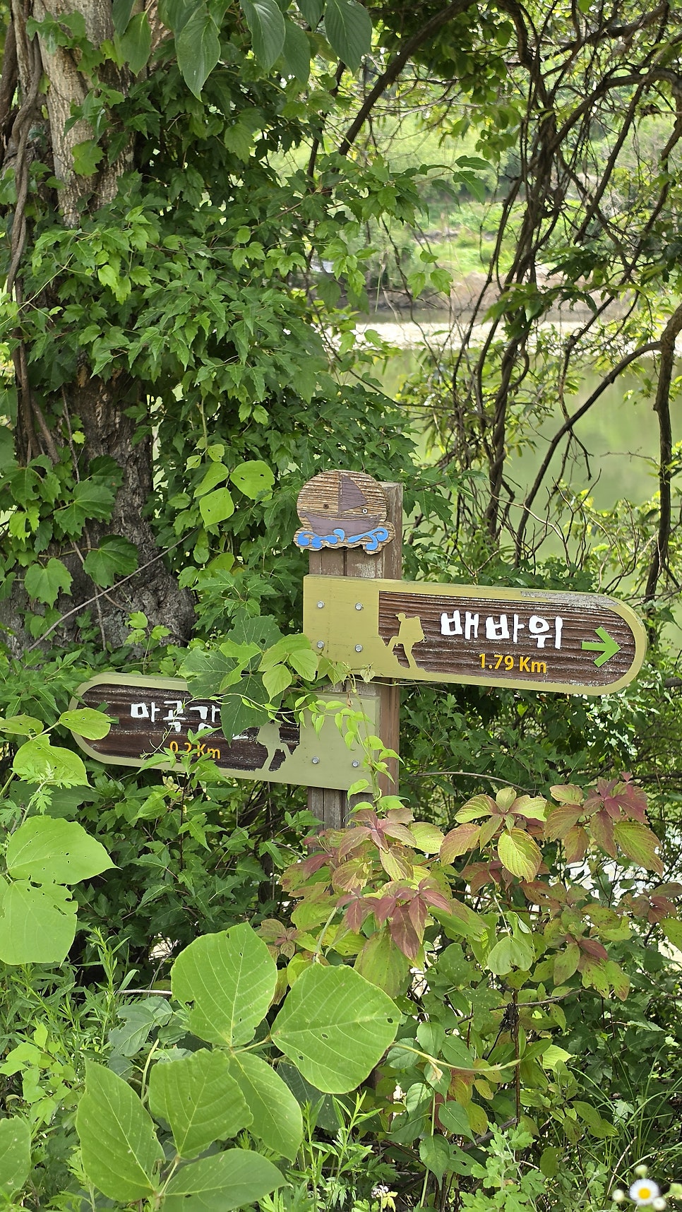 배바위전망대 사진 6