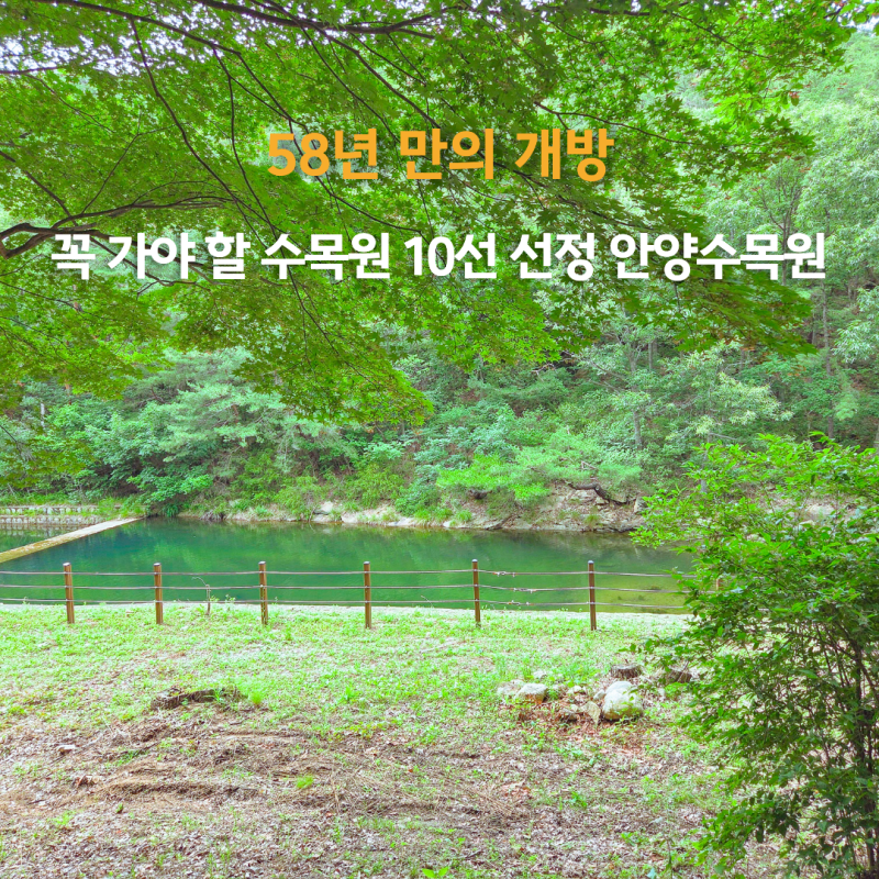58년 만의 개방 ! 꼭 가야할 전국 수목원 10곳 선정 안양수목원 방문후기