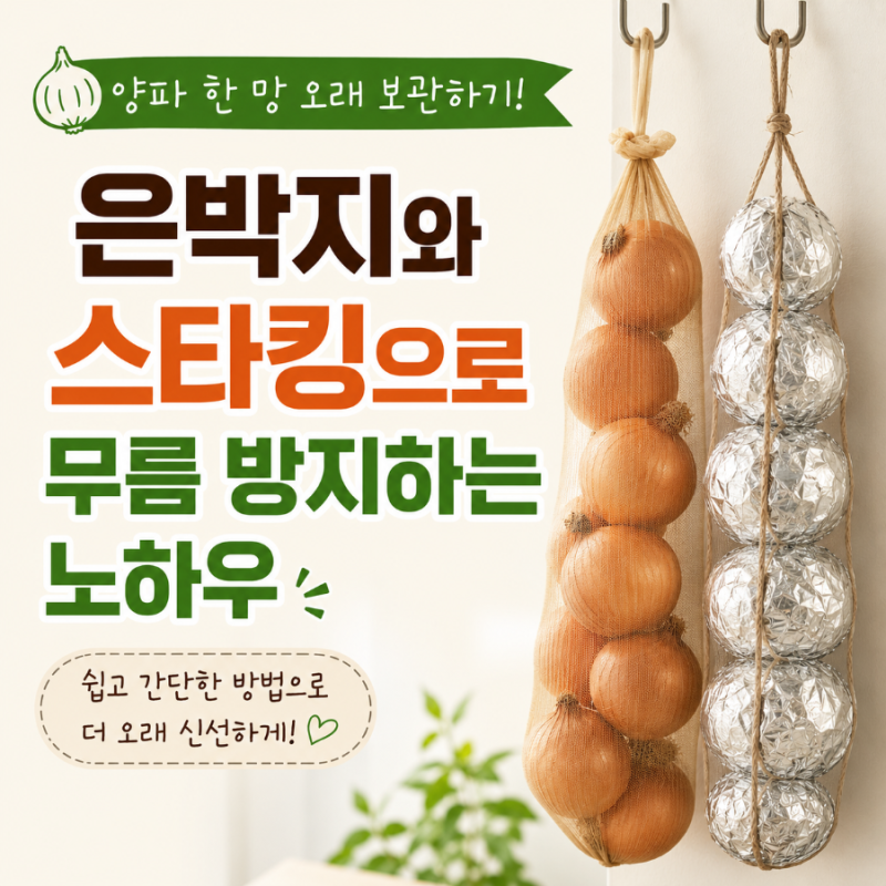 양파 한 망 오래 보관하기 은박지와 스타킹으로 무름 방지하는 노하우