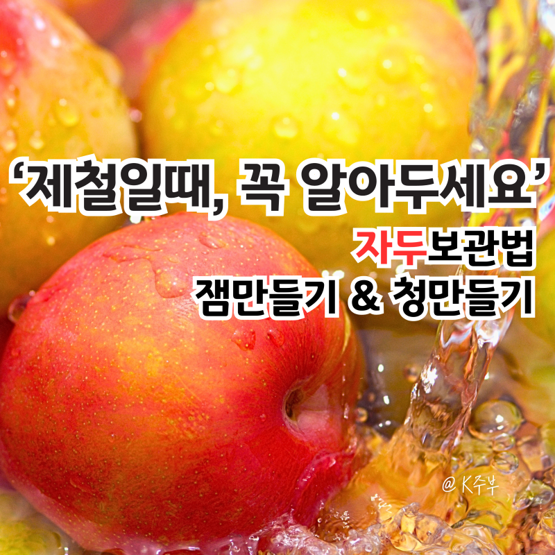 자두 제철 "바로 지금!" 보관법, 잼만들기, 청만들기 꼭 알아두세요