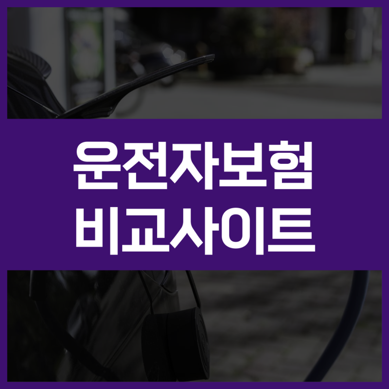 운전자보험비교사이트에서 1일 운전자보험 함께 비교한 후기