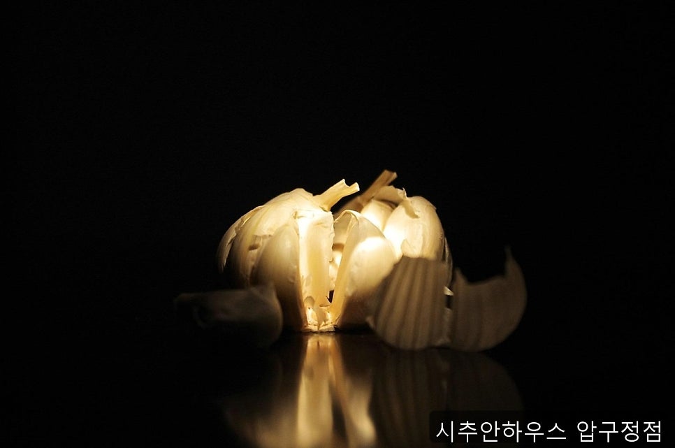 시추안하우스 압구정점 사진 1