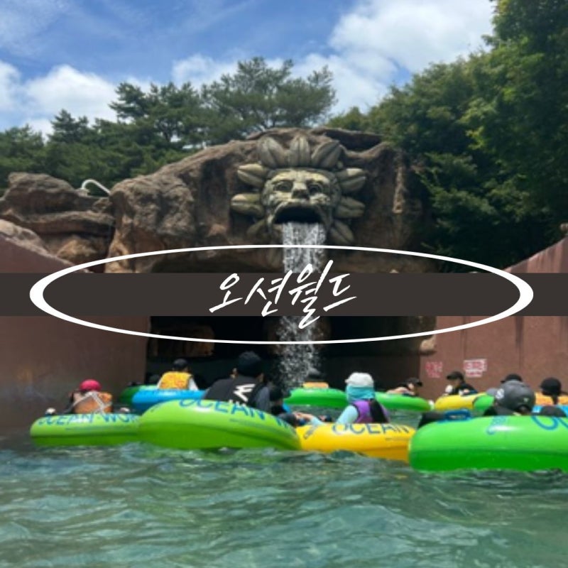 홍천 오션월드 26년 하이시즌 꿀팁 파도풀 익스트림 운행 대기시간 후기