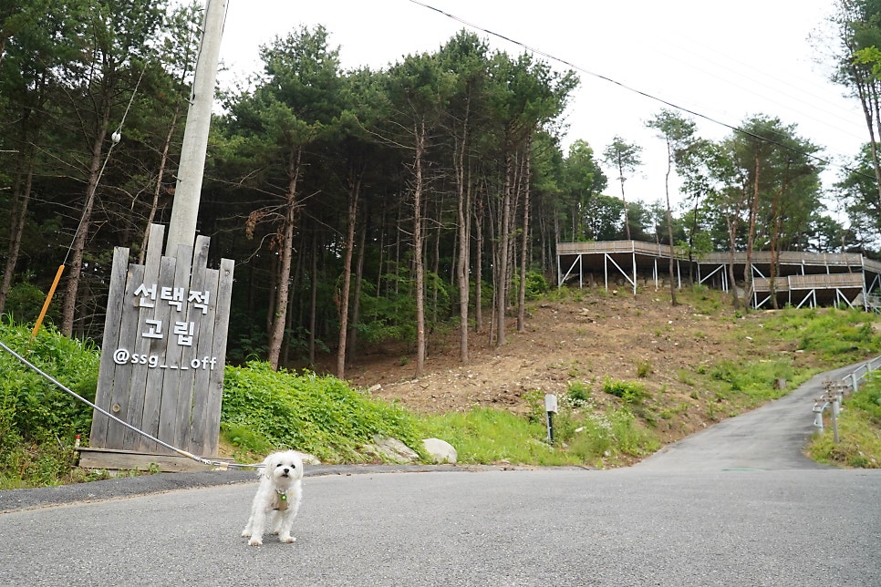 그라운드 휴 사진 1