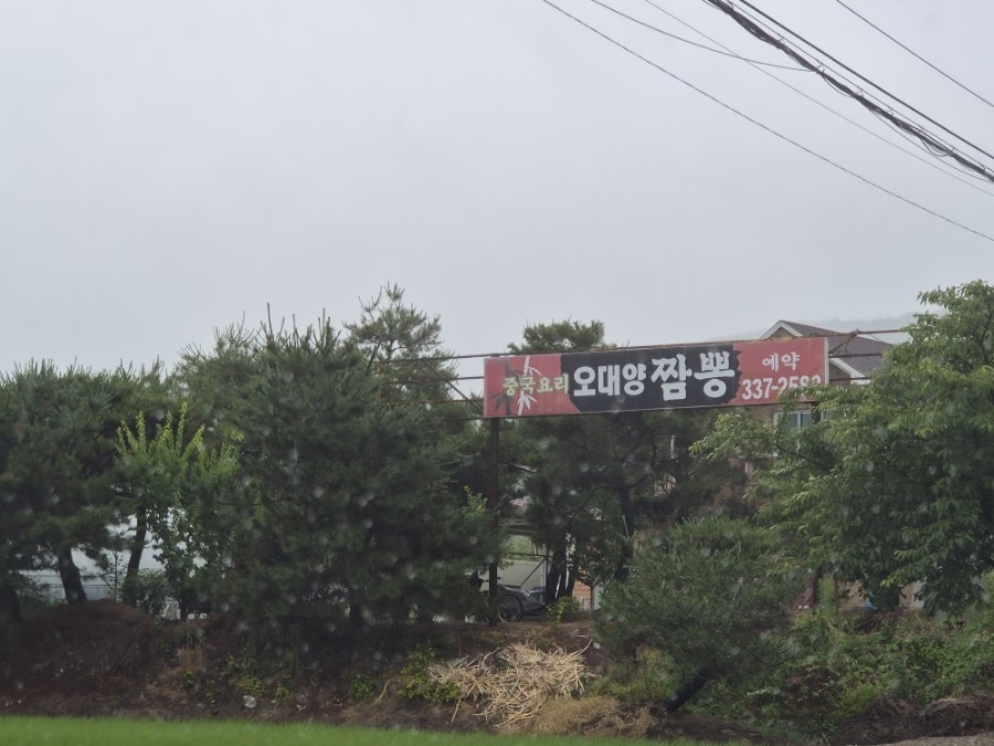 오대양짬뽕 사진 3