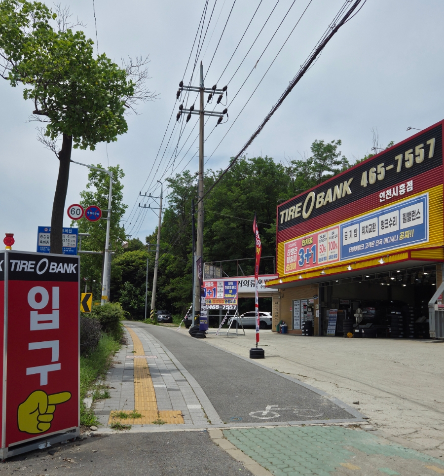 삼관왕장어 사진 2