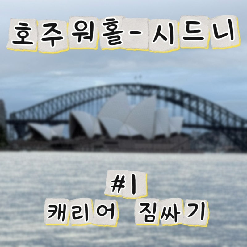 #1 호주워홀 준비하기 호주워홀 짐싸기 리스트[캐리어 수하물/기내용 백팩/상비약 리스트]