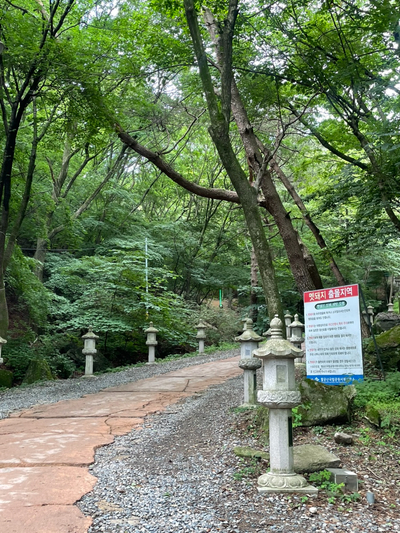 솔매기2 사진 5