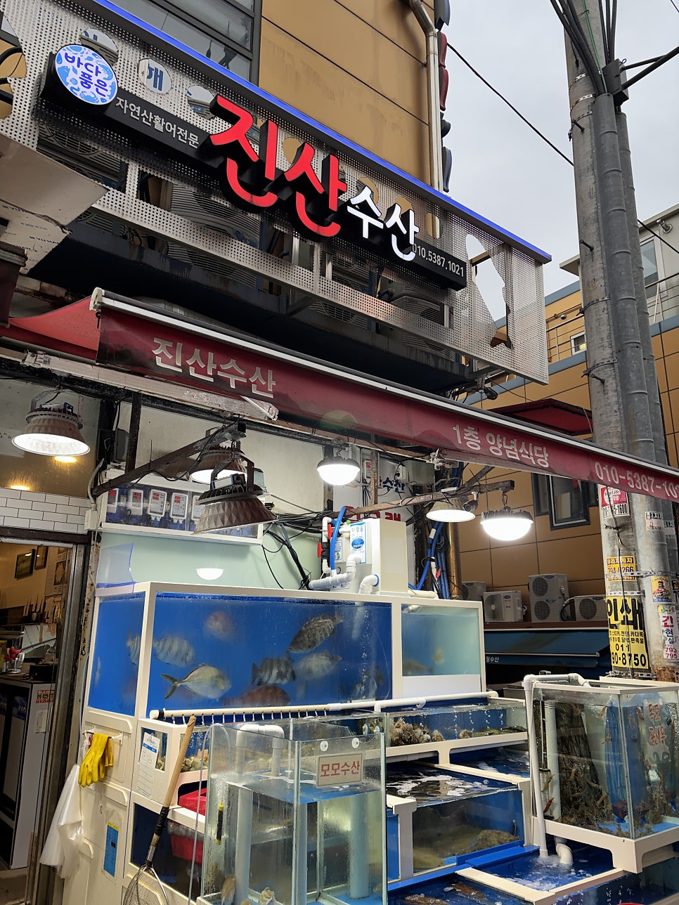 진산수산 사진 1