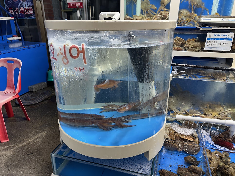 진산수산 사진 4
