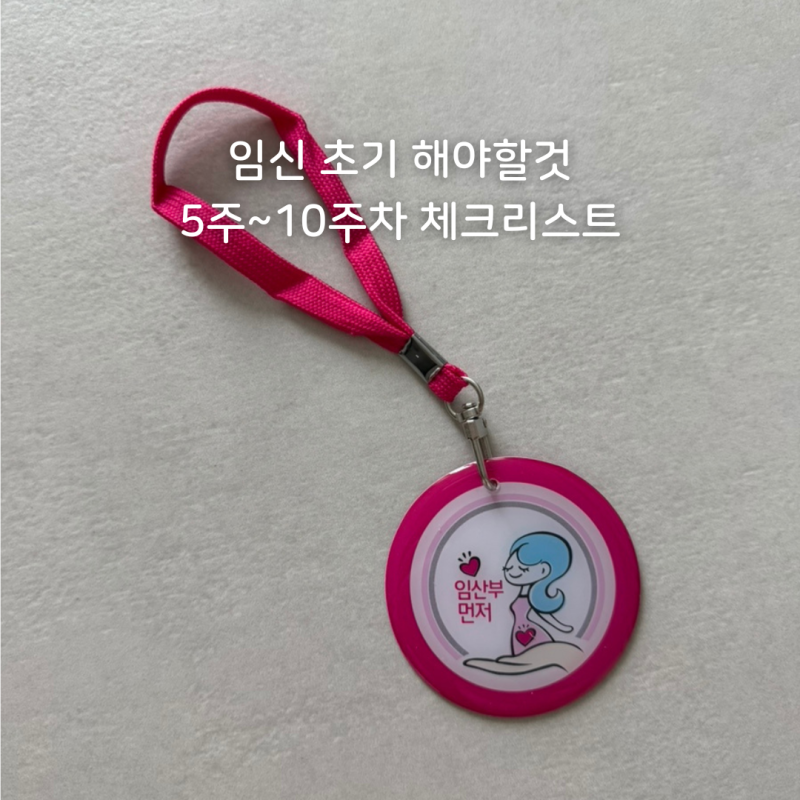 임신 초기 해야할것 총정리 | 임산부 등록부터 임신 바우처 맘편한 임신 서비스 신청까지