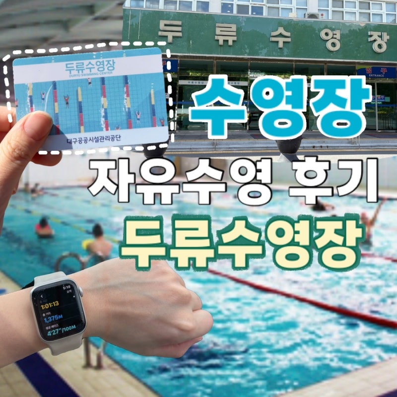 대구 두류수영장 경영연습풀 주말 자유수영 및 경영풀 공사 휴장안내(26/07/01~)