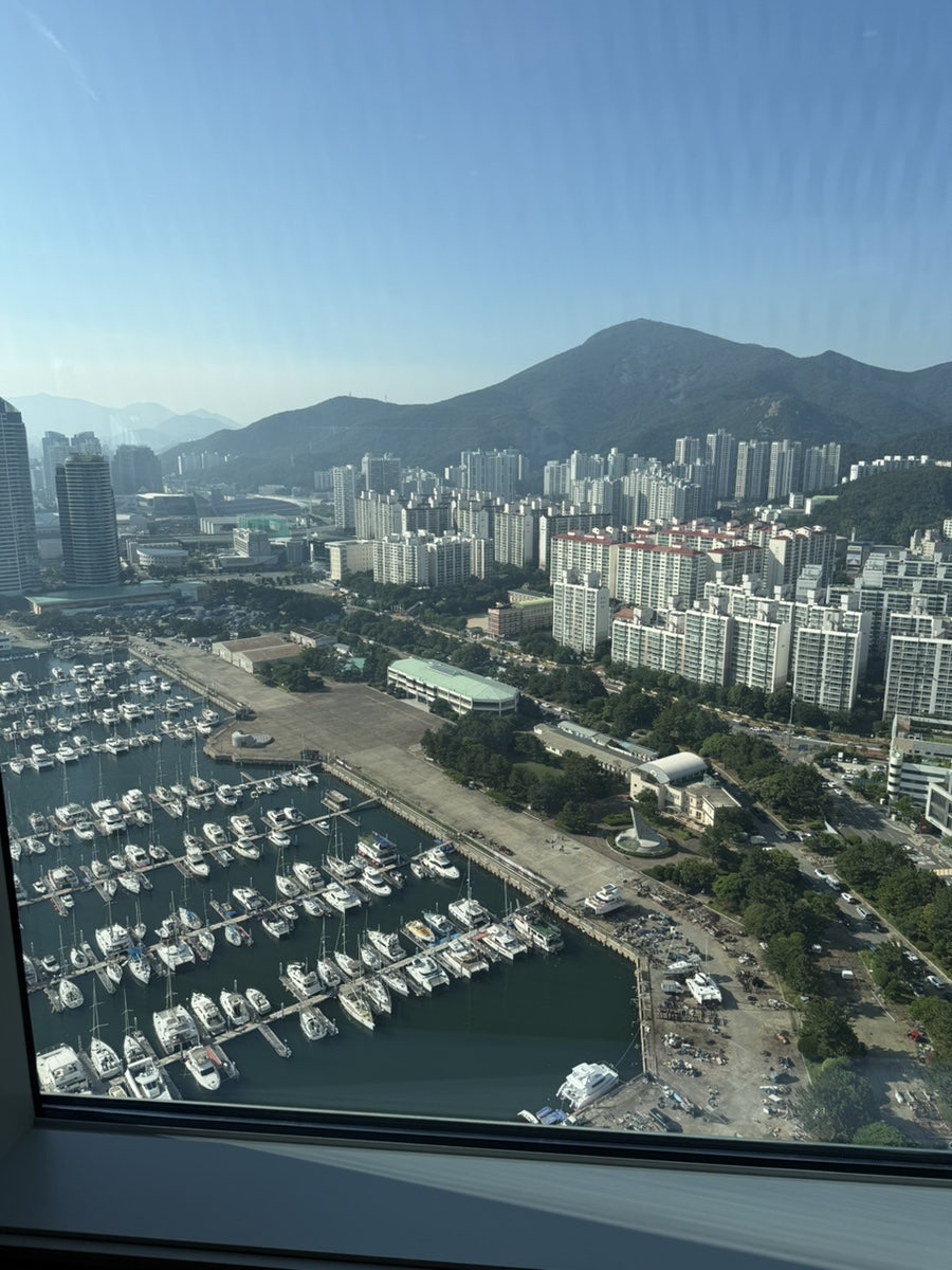 파크하얏트 부산 리빙룸바 사진 4