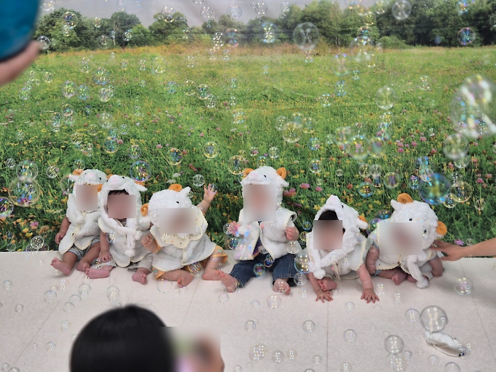 양떼 사진 2