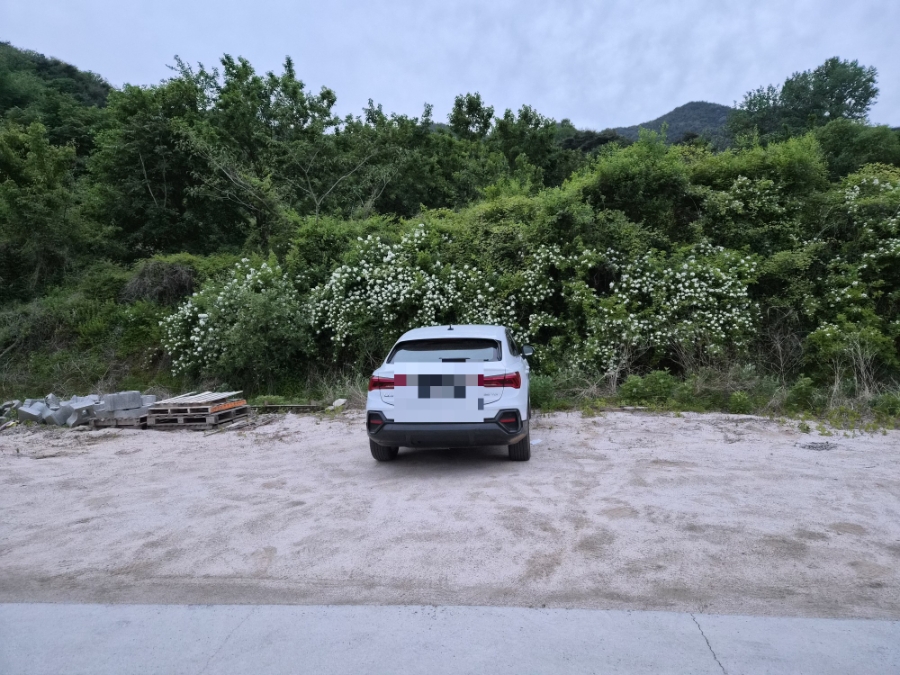 댕댕누리 사진 5