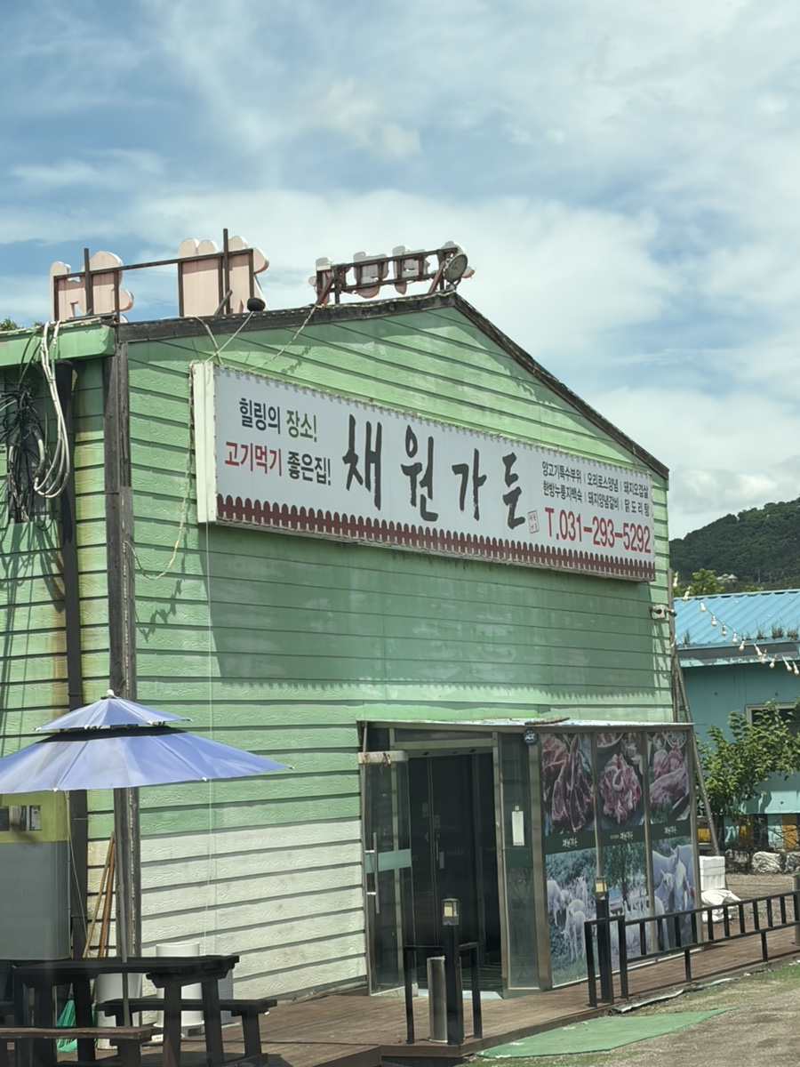 채원 사진 1