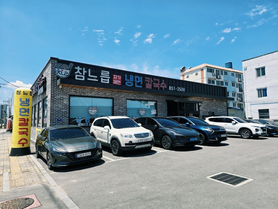 참느릅 사진 5