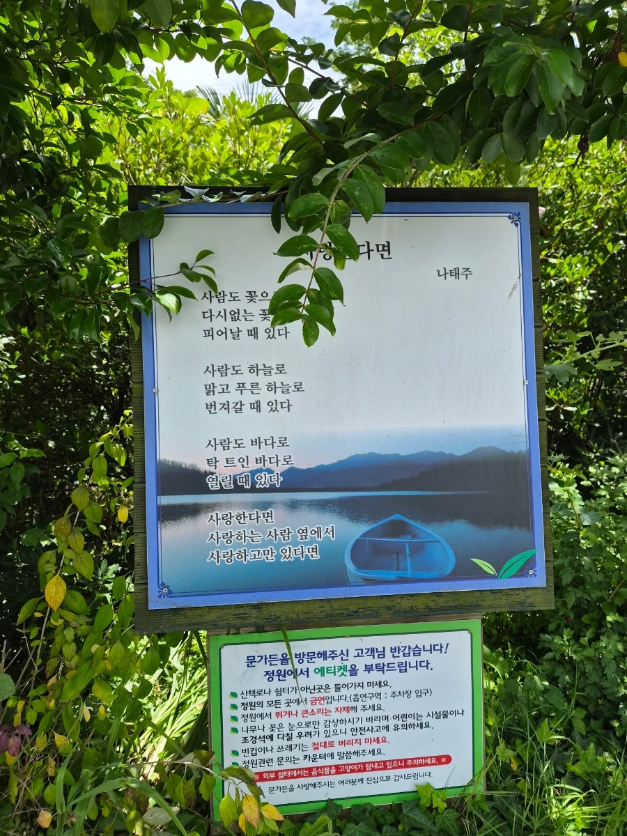 오류제 사진 2