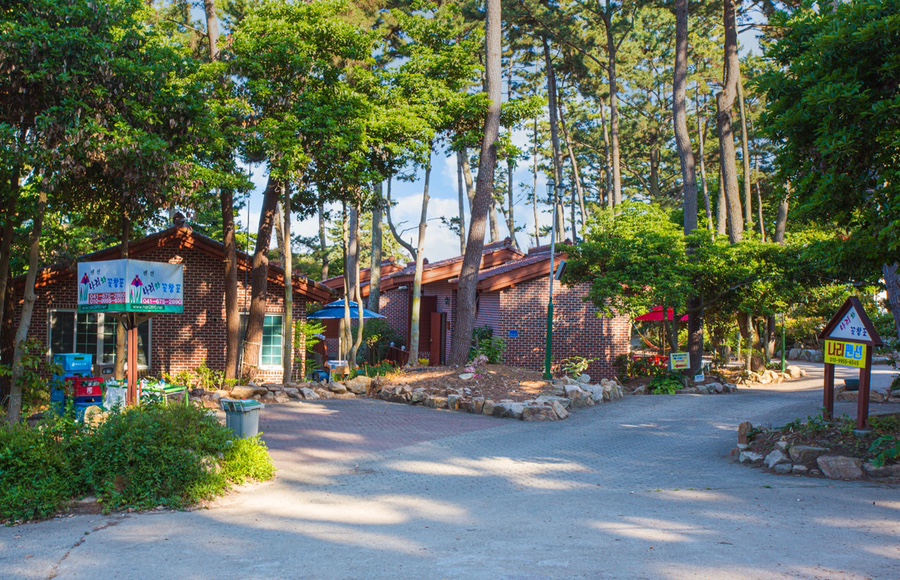 나리와꽃창포펜션 사진 1