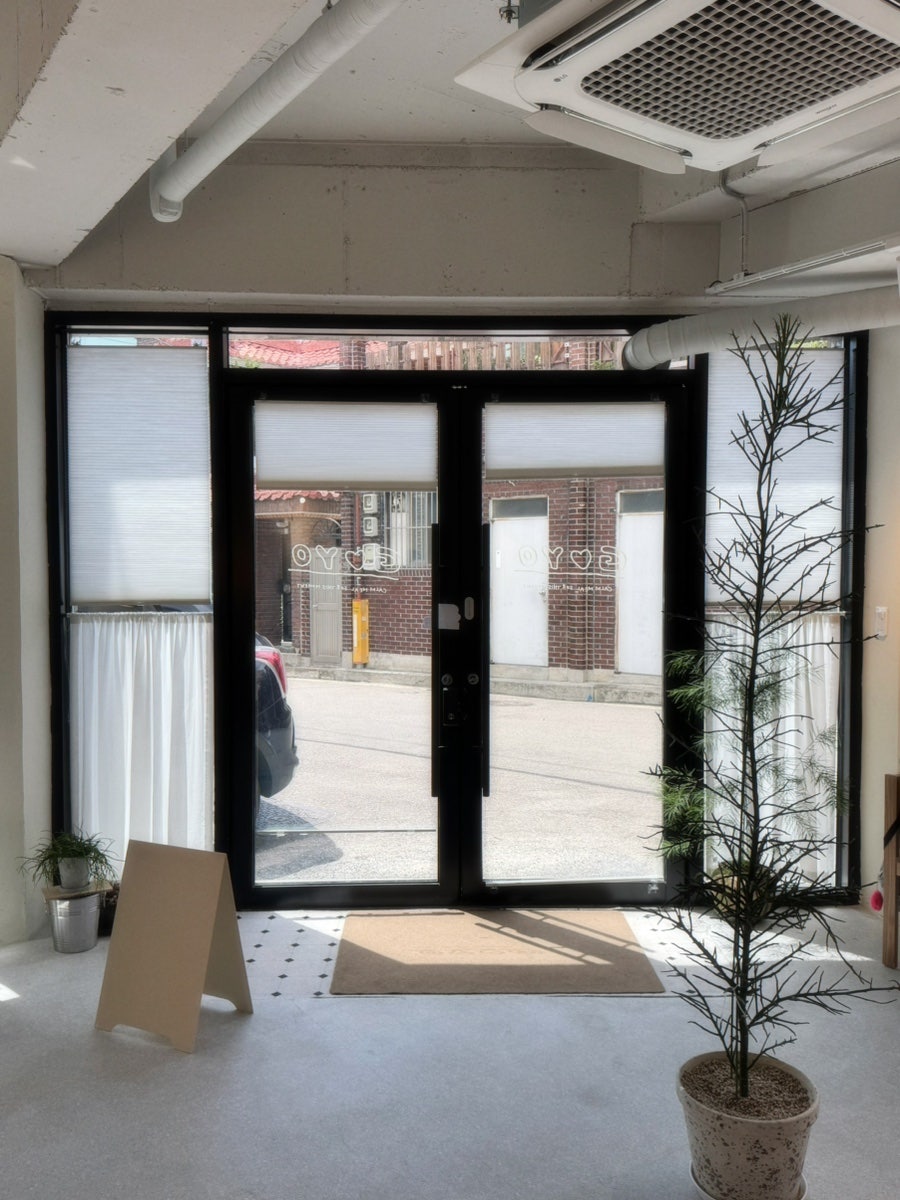 고요 사진 4