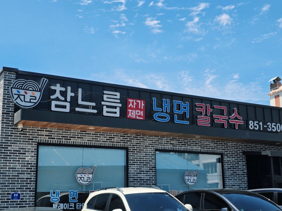 참느릅 사진 4